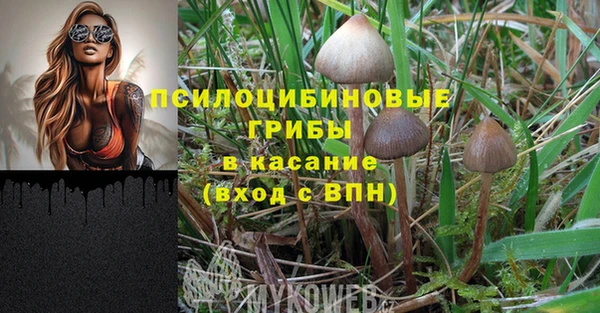 прущие крисы Арсеньев