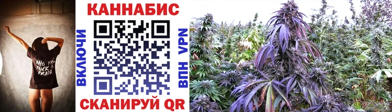 что такое   Полевской  Бошки Шишки Bruce Banner 